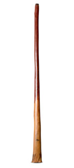 Tristan O'Meara Didgeridoo (TM471)